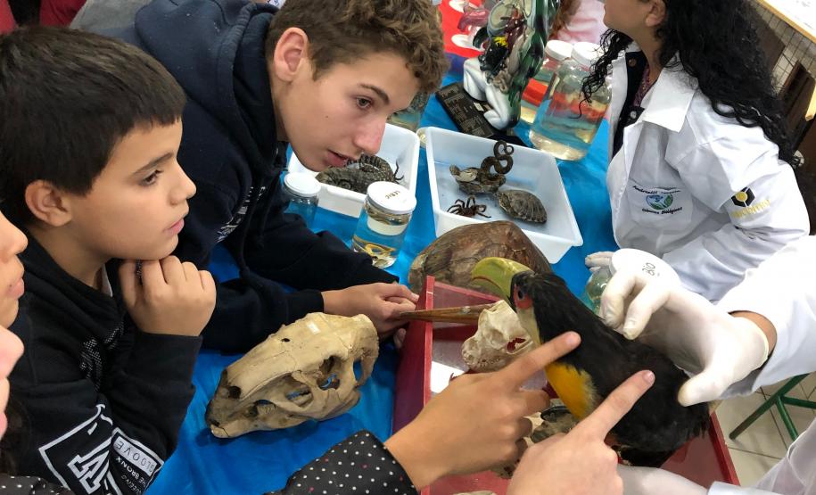 Alunos do Colégio Estadual Liane Martha da Costa vivenciam de forma lúdica o ensino de Ciências e Biologia