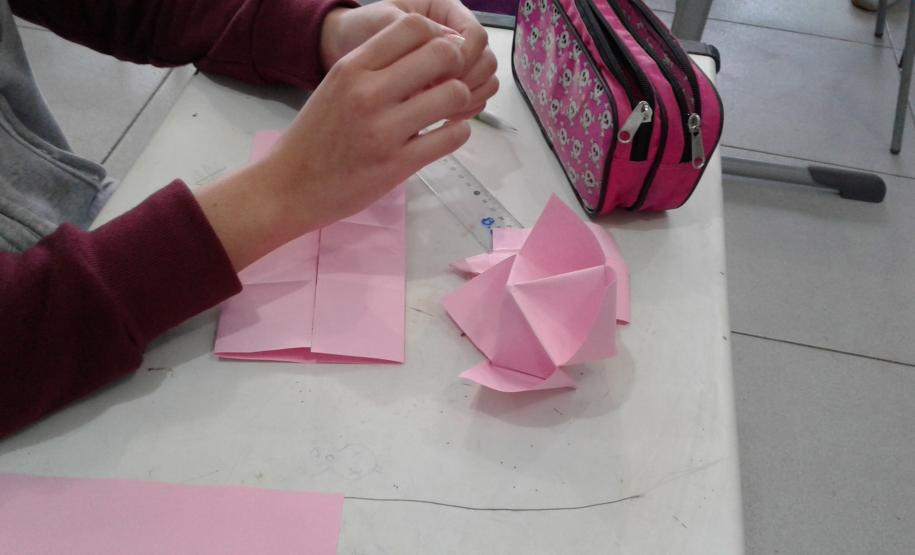 Alunos do Colégio Estadual Liane Martha da Costa vivenciam de forma lúdica o ensino de Ciências e Biologia