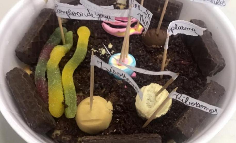 O lúdico fazendo parte das práticas em Biologia: atividade de construção de células comestíveis.