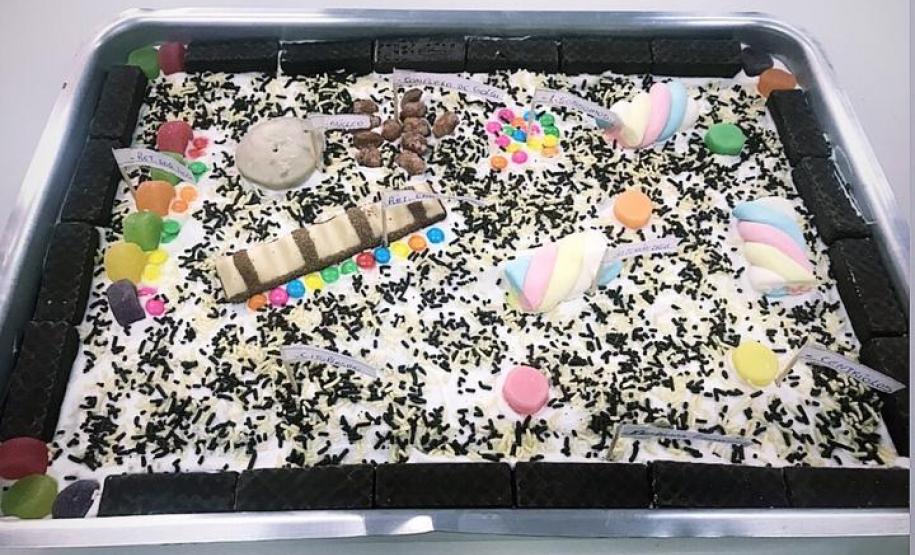 O lúdico fazendo parte das práticas em Biologia: atividade de construção de células comestíveis.