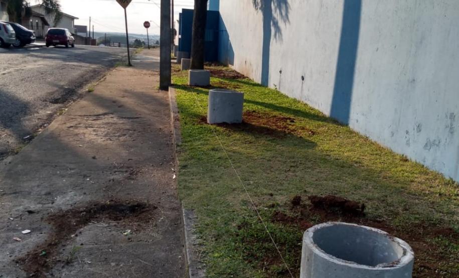 Projeto de Paisagismo e Jardinagem no Ambiente Escolar do Colégio Estadual Professor Amarílio.