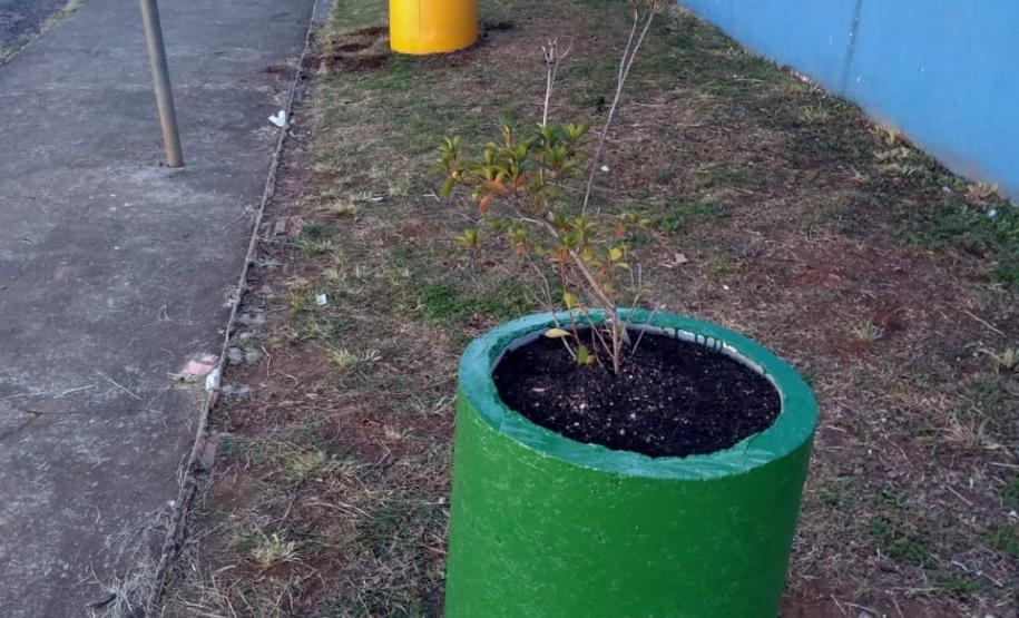 Projeto de Paisagismo e Jardinagem no Ambiente Escolar do Colégio Estadual Professor Amarílio.