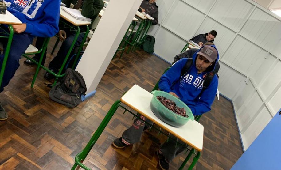 Gimnospermas - CEEBJA