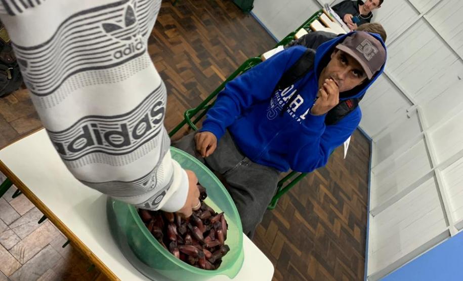 Gimnospermas - CEEBJA