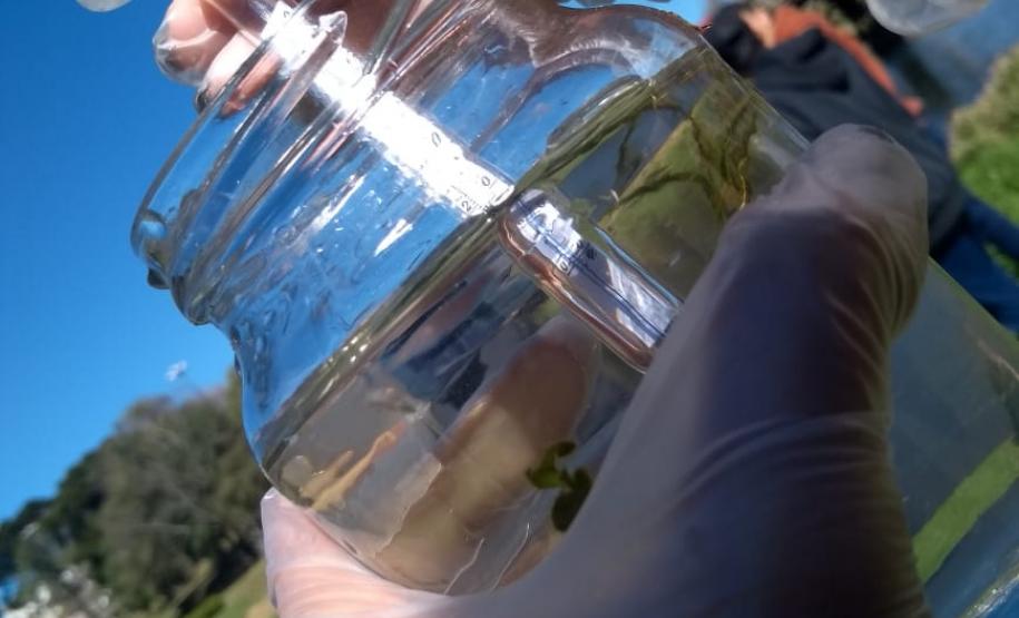 Alunos do curso Técnico em Meio Ambiente realizam coleta de material no Parque do Lago
