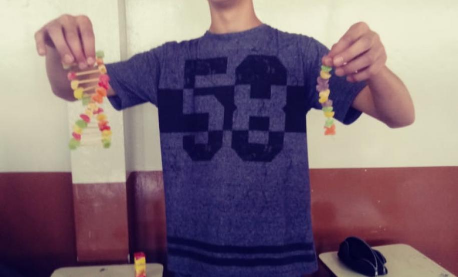 Alunos das 1ª Séries, do Colégio Estadual de Educação Profissional Arlindo Ribeiro - Agrícola, aprendem sobre genética de forma lúdica.