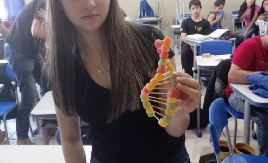 Alunos das 1ª Séries, do Colégio Estadual de Educação Profissional Arlindo Ribeiro - Agrícola, aprendem sobre genética de forma lúdica.