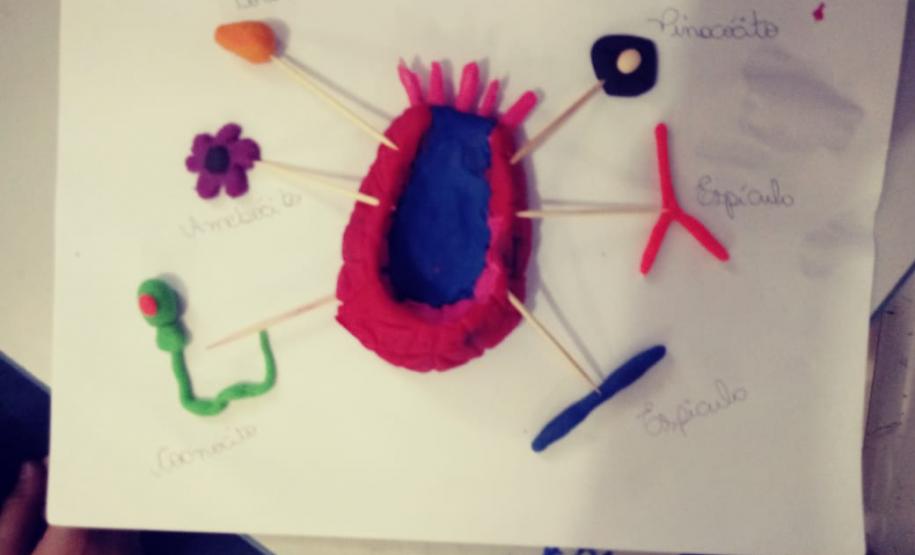 Alunos das 1ª Séries, do Colégio Estadual de Educação Profissional Arlindo Ribeiro - Agrícola, aprendem sobre genética de forma lúdica.