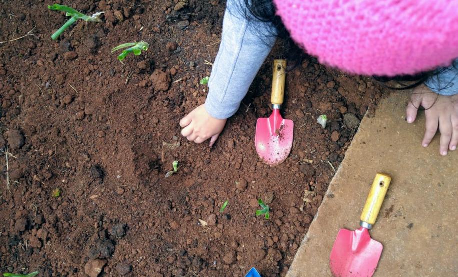 Olericultura em prática: uma parceria de sucesso dos alunos do CEEP Arlindo Ribeiro
