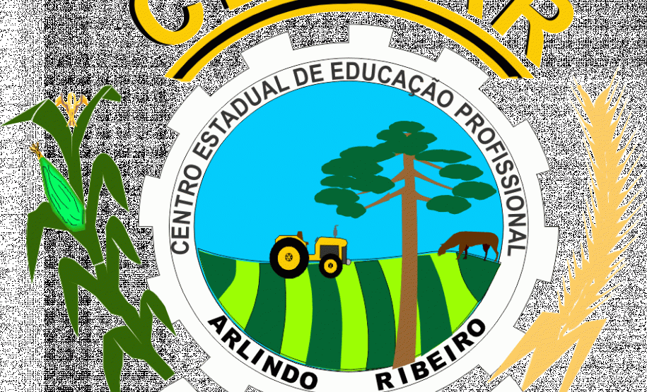 Aluno do CEEP Arlindo Ribeiro é selecionado para etapa estadual da Olimpíada de Língua Portuguesa