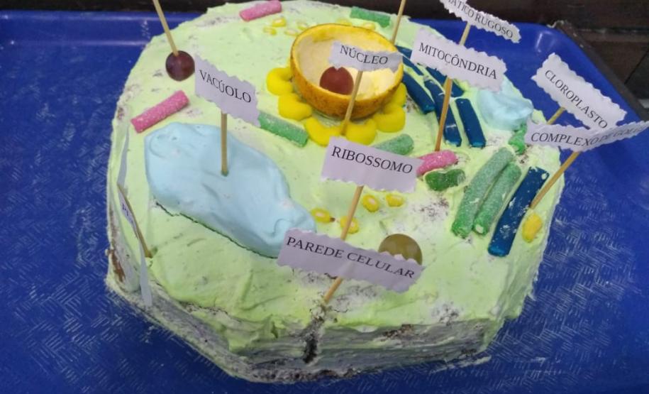 Feira do Conhecimento - Colégio Estadual Professora Dulce Maschio.