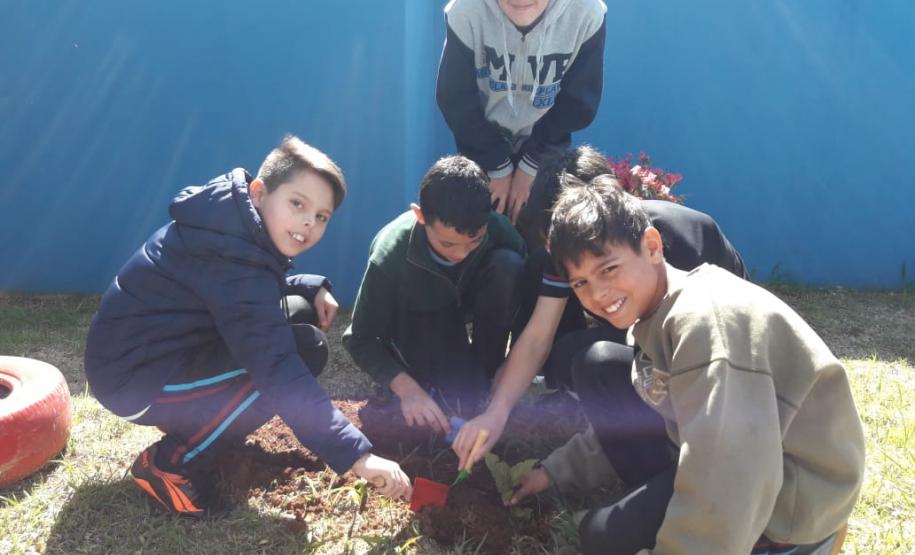 Instituições de Ensino do NRE Guarapuava participam do Programa Paraná Mais Verde