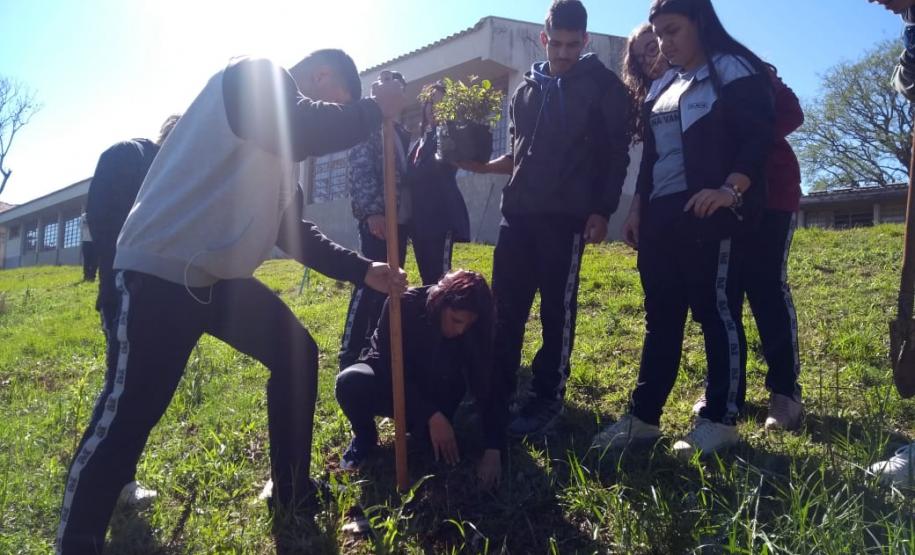 Instituições de Ensino do NRE Guarapuava participam do Programa Paraná Mais Verde