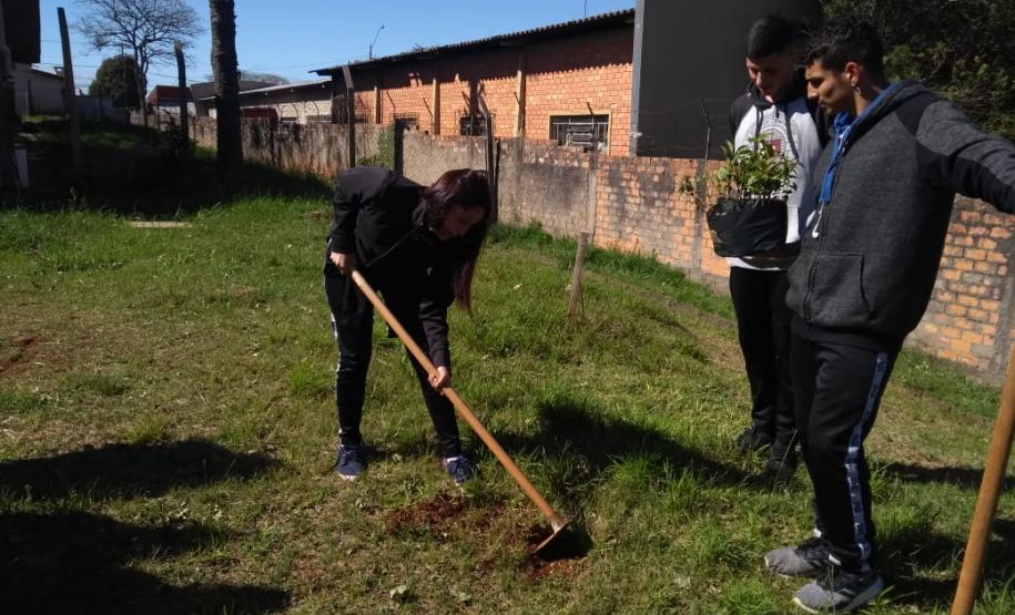 Instituições de Ensino do NRE Guarapuava participam do Programa Paraná Mais Verde
