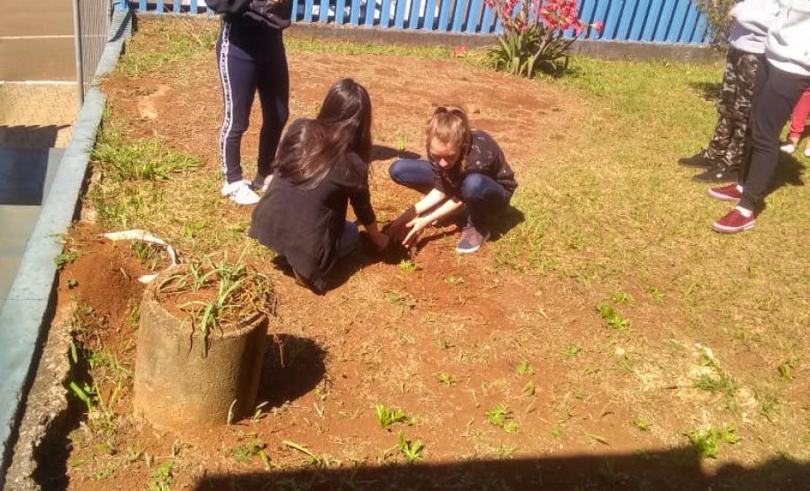 Instituições de Ensino do NRE Guarapuava participam do Programa Paraná Mais Verde