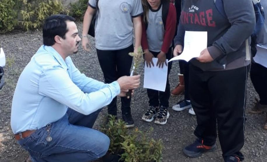 Instituições de Ensino do NRE Guarapuava participam do Programa Paraná Mais Verde