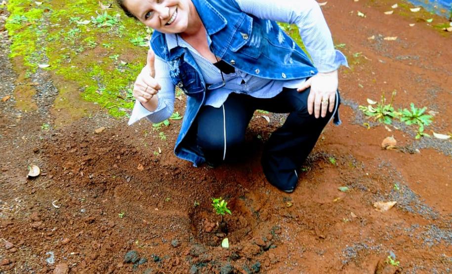 Instituições de Ensino do NRE Guarapuava participam do Programa Paraná Mais Verde