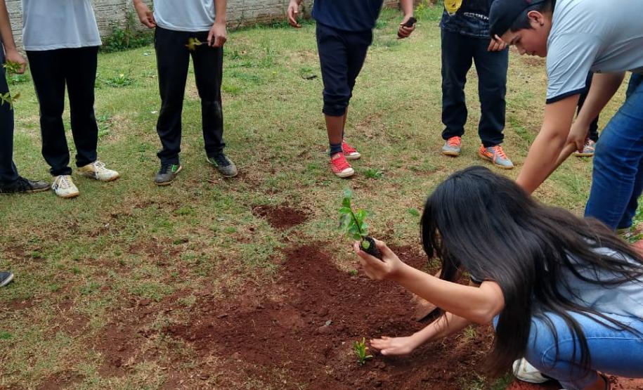 Instituições de Ensino do NRE Guarapuava participam do Programa Paraná Mais Verde