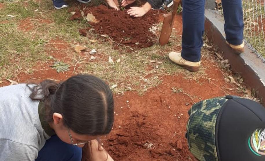 Instituições de Ensino do NRE Guarapuava participam do Programa Paraná Mais Verde
