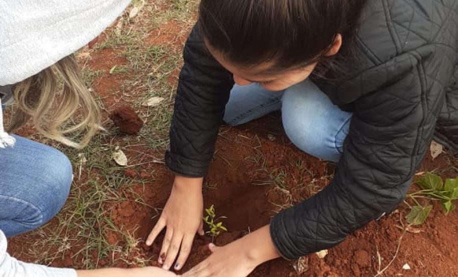 Instituições de Ensino do NRE Guarapuava participam do Programa Paraná Mais Verde