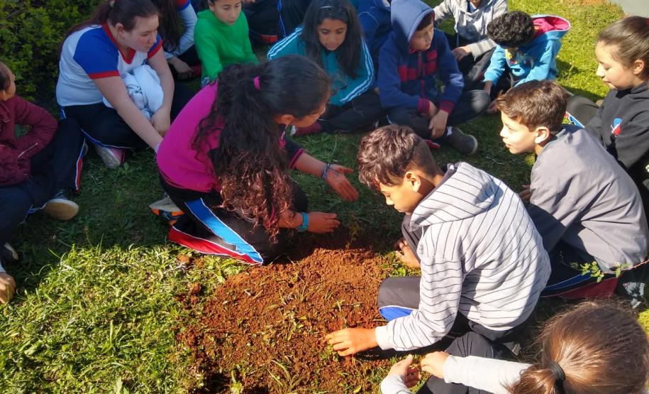 Instituições de Ensino do NRE Guarapuava participam do Programa Paraná Mais Verde