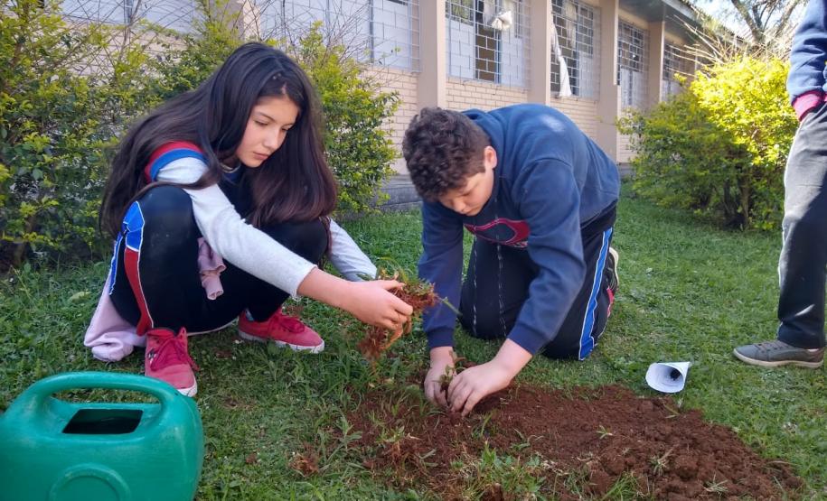 Instituições de Ensino do NRE Guarapuava participam do Programa Paraná Mais Verde