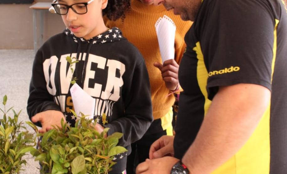 Instituições de Ensino do NRE Guarapuava participam do Programa Paraná Mais Verde