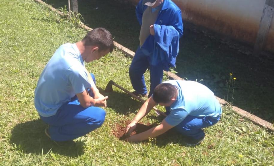 Instituições de Ensino do NRE Guarapuava participam do Programa Paraná Mais Verde
