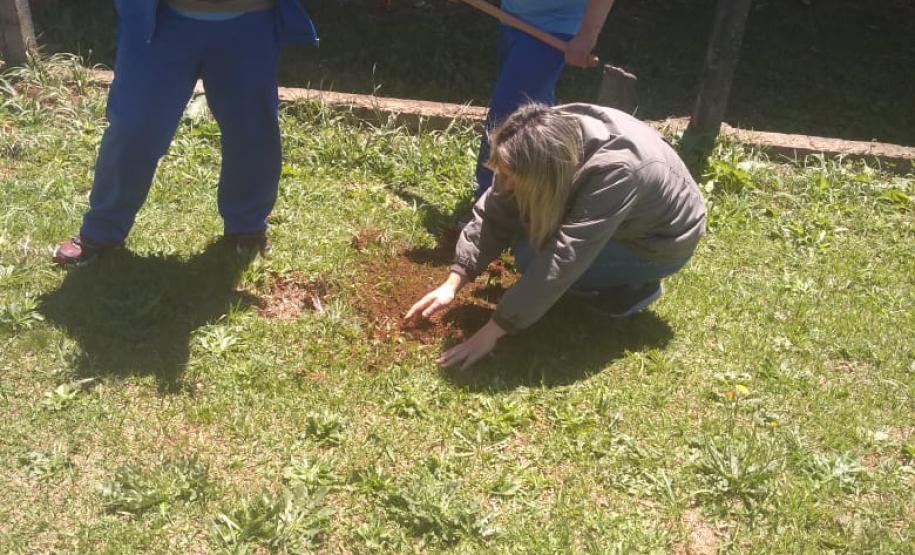Instituições de Ensino do NRE Guarapuava participam do Programa Paraná Mais Verde