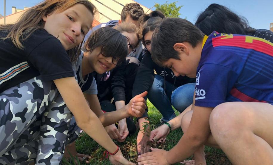 Instituições de Ensino do NRE Guarapuava participam do Programa Paraná Mais Verde