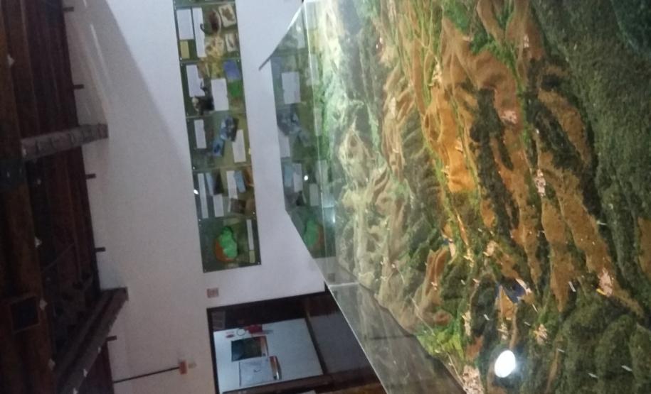 ações meio ambiente