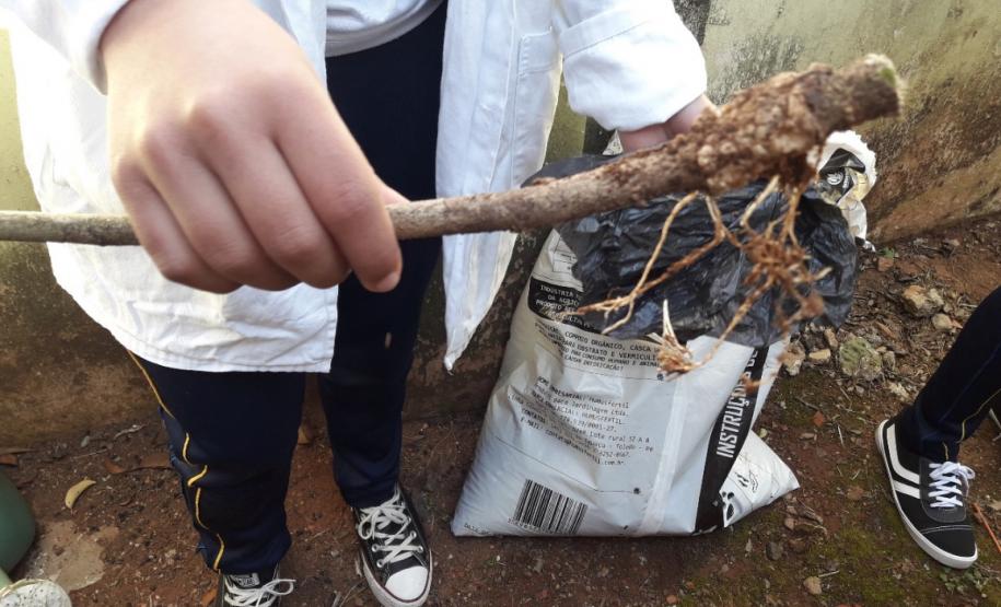 ações meio ambiente