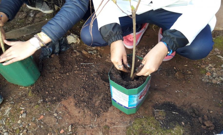 ações meio ambiente