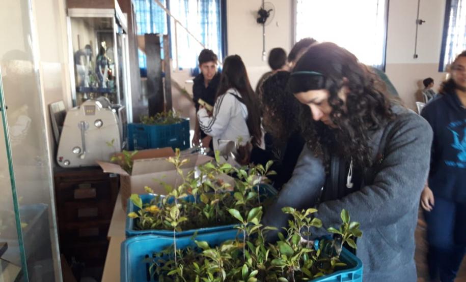 ações meio ambiente