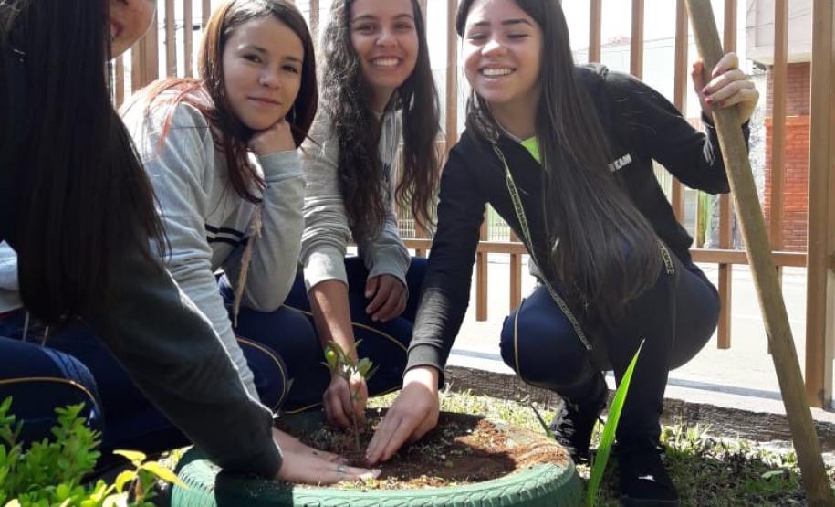 ações meio ambiente