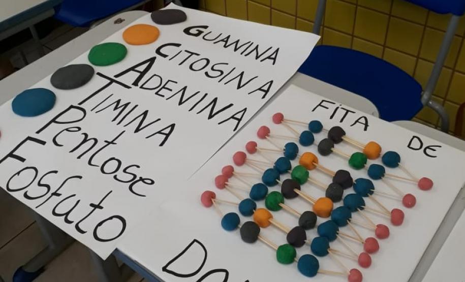 Feira do Conhecimento - C.E. Professores Edvaldo e Maria Janete Carneiro