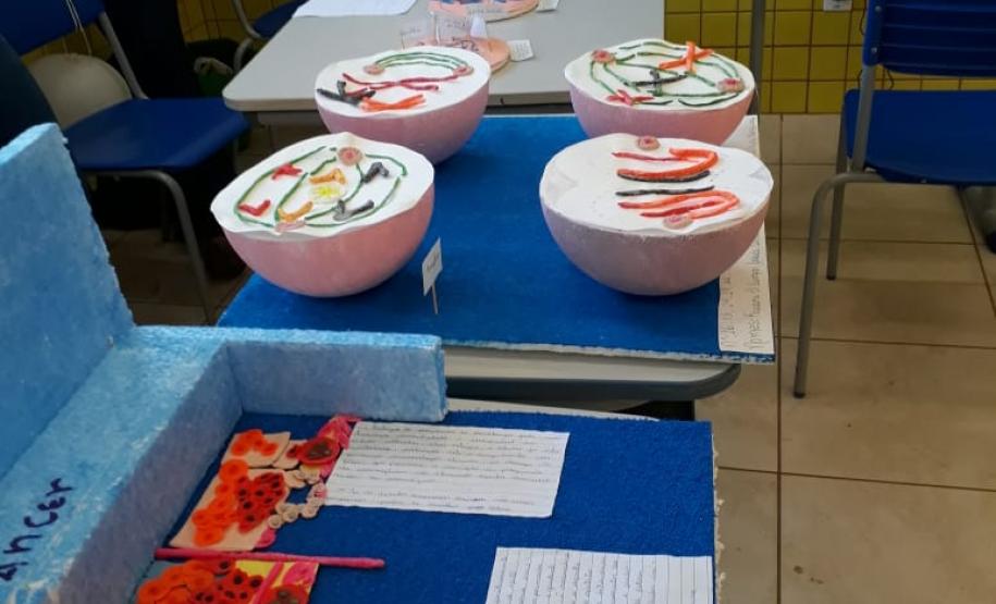 Feira do Conhecimento - C.E. Professores Edvaldo e Maria Janete Carneiro