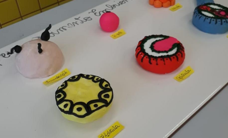 Feira do Conhecimento - C.E. Professores Edvaldo e Maria Janete Carneiro