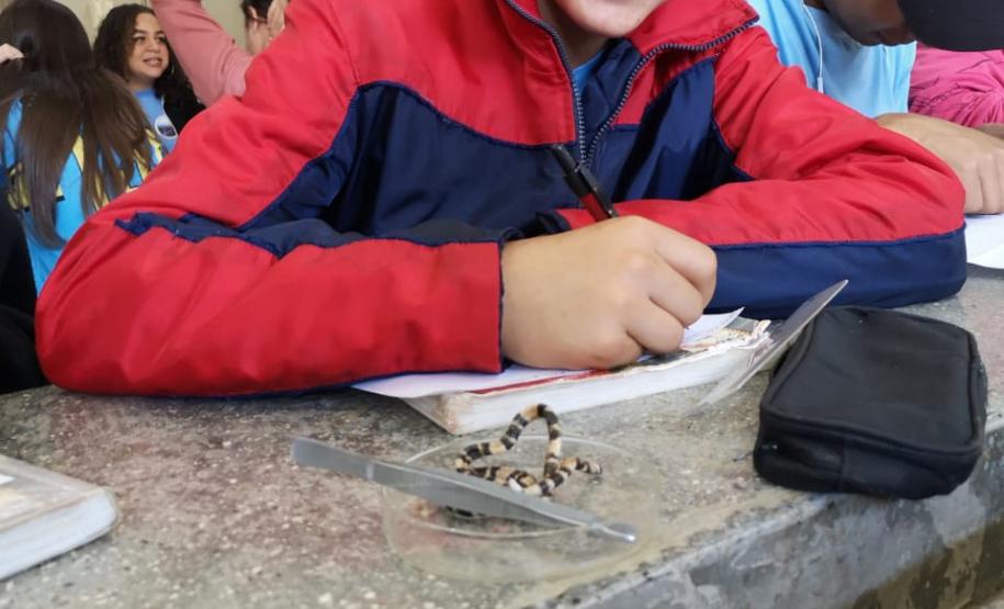 Estudando as estruturas do corpo humano sob o prisma evolutivo: prática dos alunos do C.E. Bibiana Bitencourt.