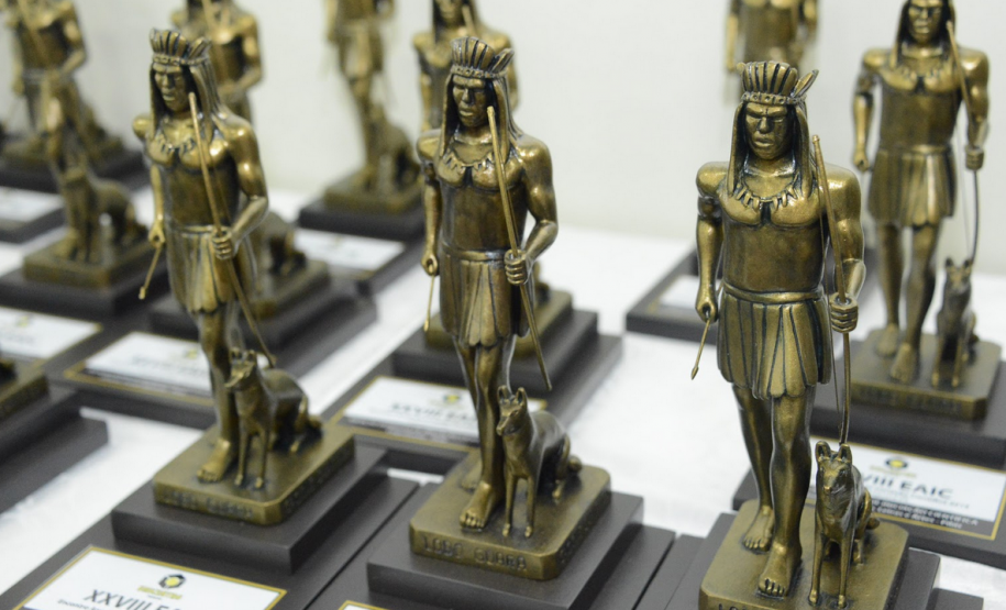 Colégios de Guarapuava recebem menção honrosa de Iniciação Científica da UNICENTRO