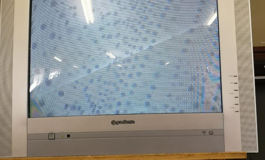 Aula prática de citologia: uma experiência dos alunos do C.E. Rui Barbosa