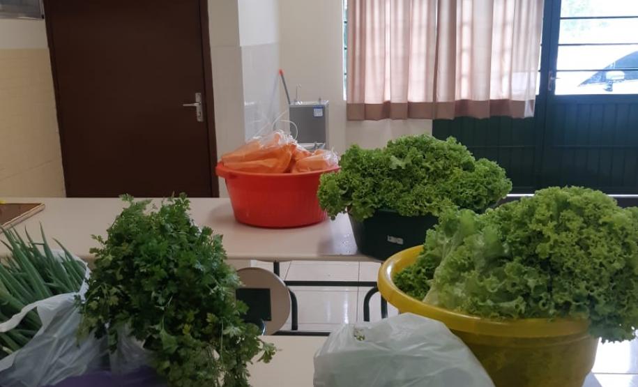 CE do Campo São José